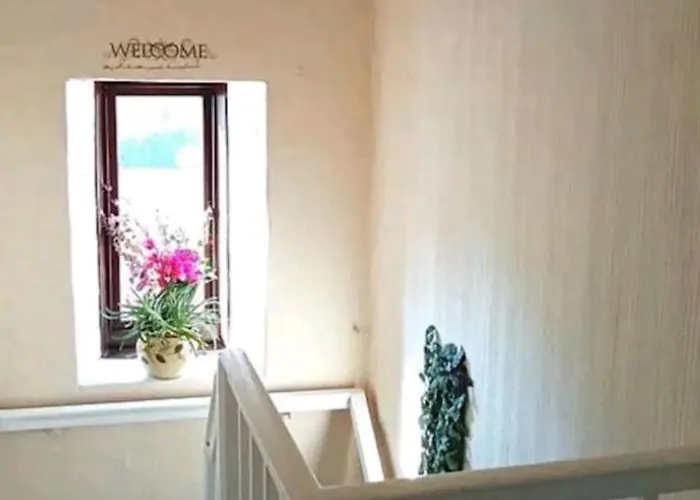 Cosy 4-Bedroom House In Lovely Wexford With Wifi Feriehus